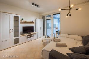 伊佐拉的住宿－Arieli Apartments Izola，带沙发和电视的客厅