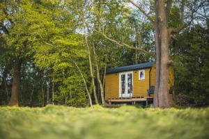 a yellow tiny house in the middle of a forest at Tiny Houses Bij De Compagnons in Waskemeer