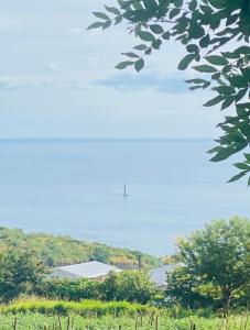 einen Blick auf ein Feld mit einer Straße in der Ferne in der Unterkunft Bas de villa Vacances Océan in Le Carbet