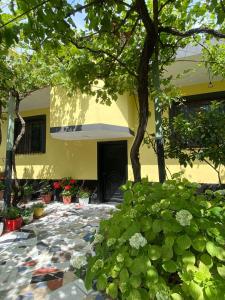 Zahrada ubytování H&A Guest House