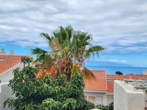 een palmboom voor een gebouw bij Royal Sunny Terrace Villas Canarias in Adeje
