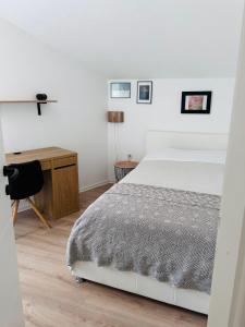 1 dormitorio con cama y escritorio en Apartman Zadar Centar(free parking and wi-fi) en Zadar