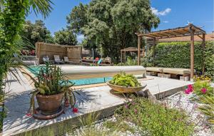 a garden with a swimming pool and some plants at Awesome Home In Bédarrides in Bédarrides