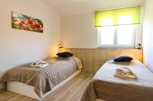 a bedroom with two beds and a window at AS apartmani "Pistachio" in Peroj