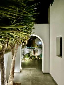a hallway with two palm trees in a building at Miracles Suites by Anastasia Princess, Adults Only in Perissa