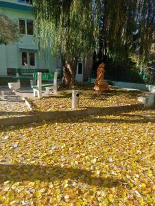 Foto dalla galleria di N&R Rest House a Tsaghkadzor