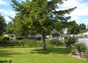 a tree in a yard next to a fence at Fir Trees in Chester