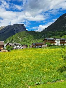 a field of green grass with houses and mountains at Familienfreundliches Bregenzerwälderhaus in Au im Bregenzerwald +57 photos