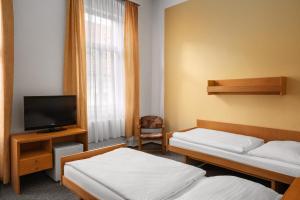 TV a/nebo společenská místnost v ubytování Spa Hotel Goethe