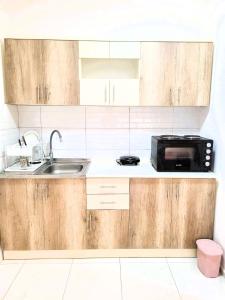 cocina con fregadero y microondas en Cozy studio apartment near the city park en Strumica