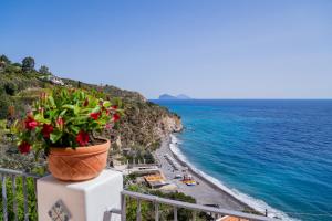 Φυσικό τοπίο κοντά σε αυτή η παραθεριστική κατοικία +25 φωτογραφίες