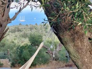 a hammock hanging from a tree with a sailboat in the background at Casa Tereza in Plátanos