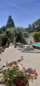 Πισίνα στο ή κοντά στο Location saisonnière avec piscine et terrasse au pied du luberon