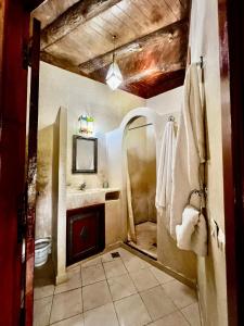 a bathroom with a shower and a sink and a tub at Jnane Ayam Atlas in Ourika