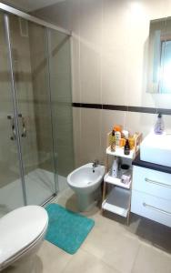 a bathroom with a shower and a toilet and a sink at Las mejores vistas de Oropesa in El Borseral