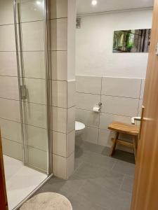 ein Bad mit einer Dusche und einem WC in der Unterkunft Ferienhaus Thelen in Niederhersdorf