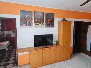 TV a/nebo společenská místnost v ubytování WOLF APARTMAN Pokojné ubytovanie v Považskej Bystrici Tichá lokalita s parkovaním Všade blízko Vhodné pre pracovné cesty turistiku aj oddych Plne vybavena kuchyňa