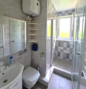 a bathroom with a shower and a toilet and a sink at Garsoniera Soroca in Soroca