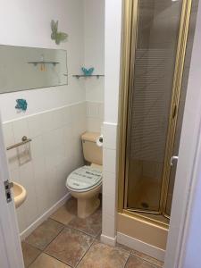 a bathroom with a toilet and a shower at Kings Lynn 1 in Kings Lynn