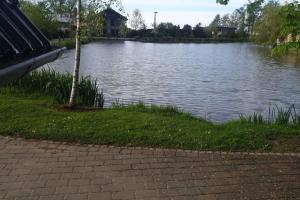a body of water with a tree in front of it at Häuschen am See in Cappel