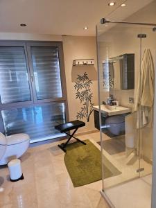 Luxury House in Montagnola في Collina d'Oro: حمام مع دش ومرحاض ومغسلة