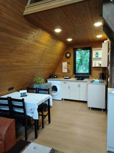 Η κουζίνα ή μικρή κουζίνα στο Big Family +26 φωτογραφίες