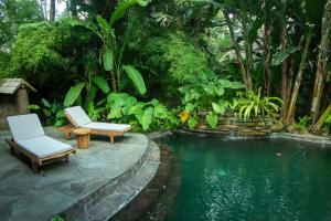 a swimming pool with two lounge chairs next to a swimming pool at Cacao House 4bds Eco Bamboo House, pool, near Green School Bali in Bringkit