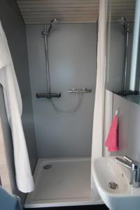 a small bathroom with a shower and a sink at Tiny House mit Sonnenterrasse in Lustenau