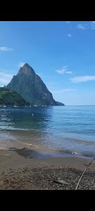 Paesaggio naturale nelle vicinanze dell'appartamento