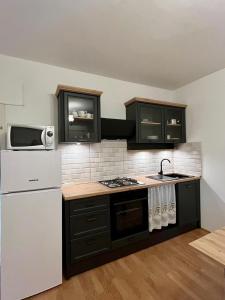 uma cozinha com armários pretos e um frigorífico branco em Apartmani Krunić em Barbat na Rabu