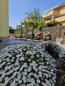 Zahrada ubytování Villa Fantasea