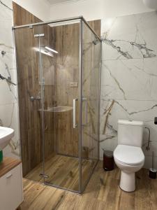 Apartmán Losonci في Nesvady: حمام مع دش ومرحاض