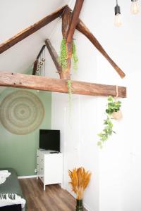 a room with a ceiling with beams and plants at Le Nid Douillet - Hypercentre - Studio in Beauvais