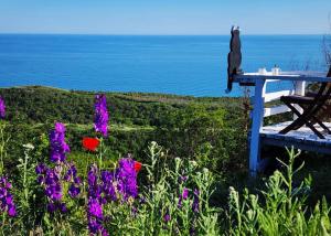 a bird sitting on a bench next to flowers at Private Villa First line with sea view in BlackSeaRama Golf A PLUS LOCATION PRIVACY POOL in Balchik