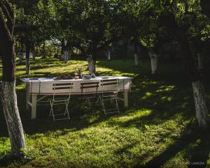 una mesa con sillas en un campo con árboles en Wietorówka en Lubomierz
