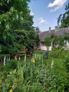 two benches in a garden with white flowers at Dom pod Galazka in Bochnia