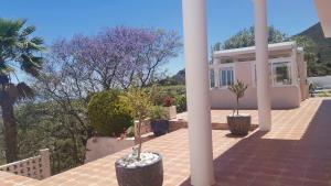 una casa con columnas y plantas en un patio en Finca Dulce Maikel, en Granadilla de Abona