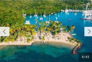 eine Insel mit Palmen und Booten im Wasser in der Unterkunft East Caribbean Lodging in Gros Islet