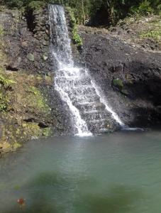 Paesaggio naturale nelle vicinanze dell'appartamento
