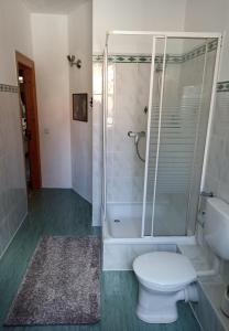y baño con ducha, aseo y lavamanos. en Privates Gästezimmer in Altenburg, en Altemburgo