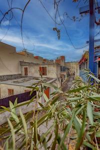a group of buildings with plants in the foreground at JO 2024 Paris - Maison Bleue piscine plus 3 pièces in Clichy
