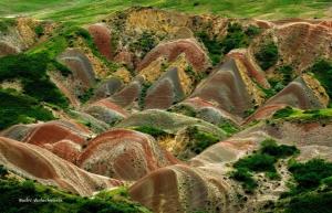 a bunch of rocks with grass and plants on a hill at Colourful Udabno in Udabno