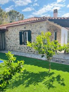 a small tree in front of a stone house at Aelia Cottage House in Khrónia