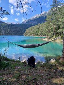 Paesaggio naturale nelle vicinanze dell'appartamento