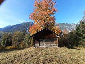 Paesaggio naturale nelle vicinanze dell'appartamento