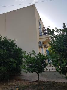 The building in which Az apartmant is located