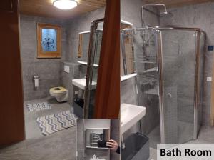La salle de bains est pourvue d'une douche et d'un lavabo. dans l'établissement Alpine Chalet with Natural Pool, à Eschen