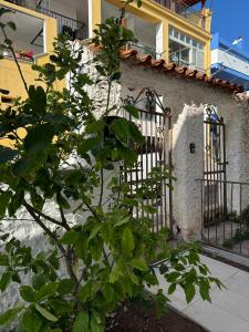 un árbol frente a un edificio con una valla en Da Monnedda, en Cala Gonone
