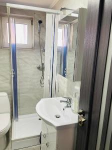 a bathroom with a sink and a shower and a toilet at Casa Daya in Statiunea Borsa