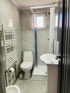 a small bathroom with a toilet and a sink at Casa Daya Borsa in Statiunea Borsa